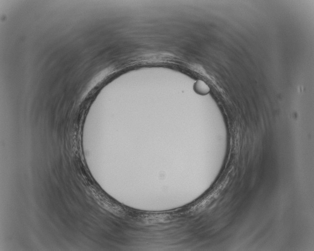 X0000079581211200612221422