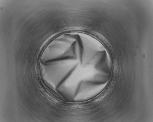 X0000079581212200612221422