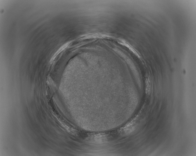 X0000079581213200612221422