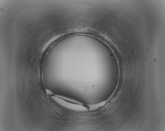 X0000079581214200612221422