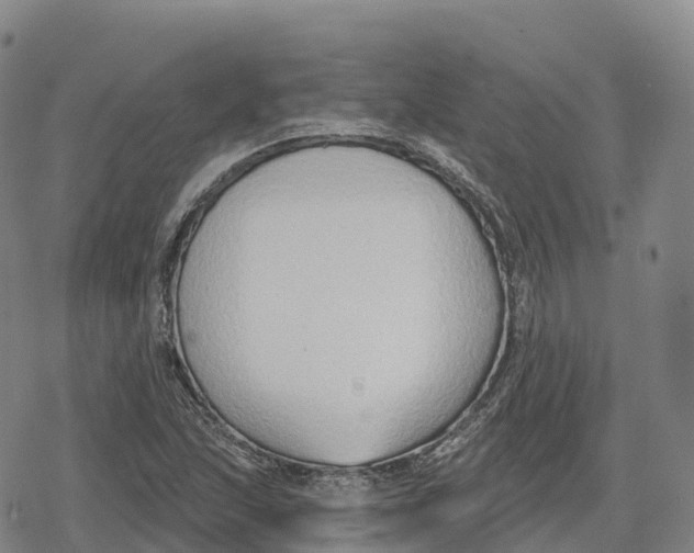 X0000079581215200612221422