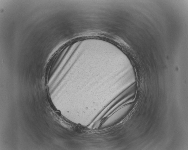 X0000079581216200612221422