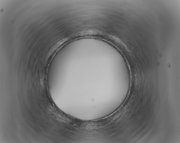 X0000079581217200612221422