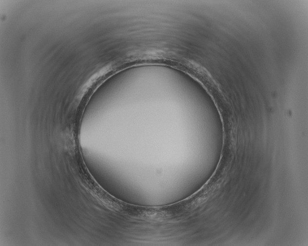 X0000079581218200612221422