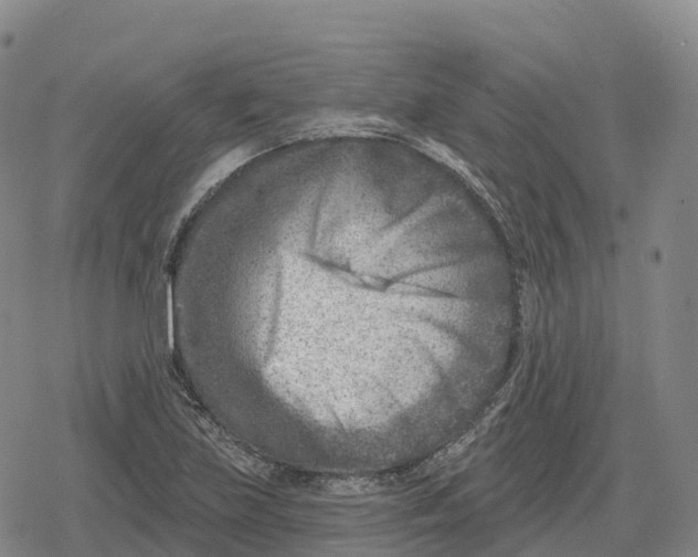 X0000079581219200612221422