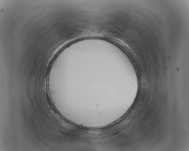 X0000079581220200612221422