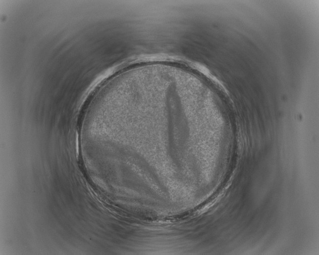 X0000079581221200612221422