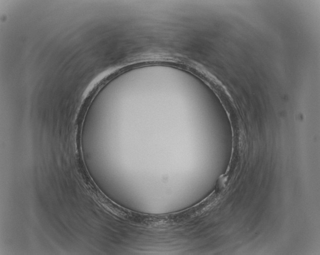 X0000079581222200612221422