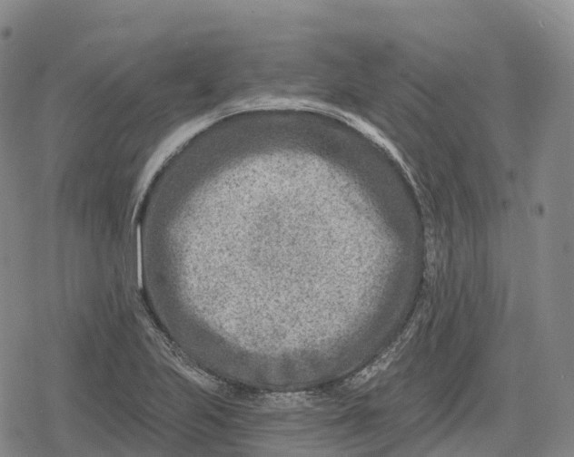 X0000079581223200612221422