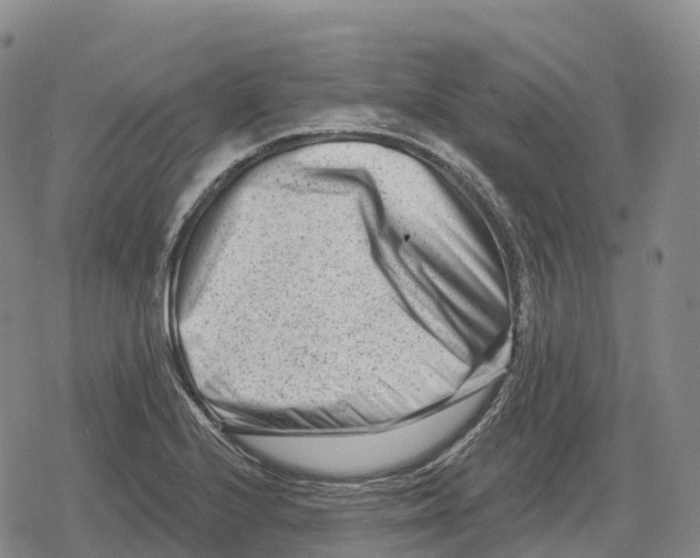 X0000079581224200612221422