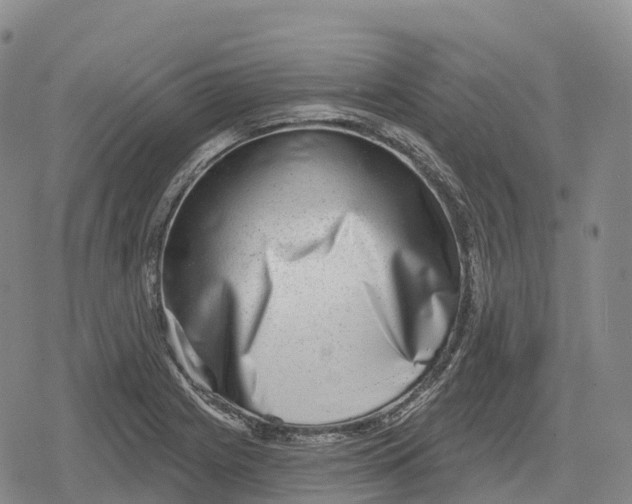 X0000079581225200612221422