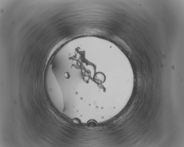 X0000079581226200612221422