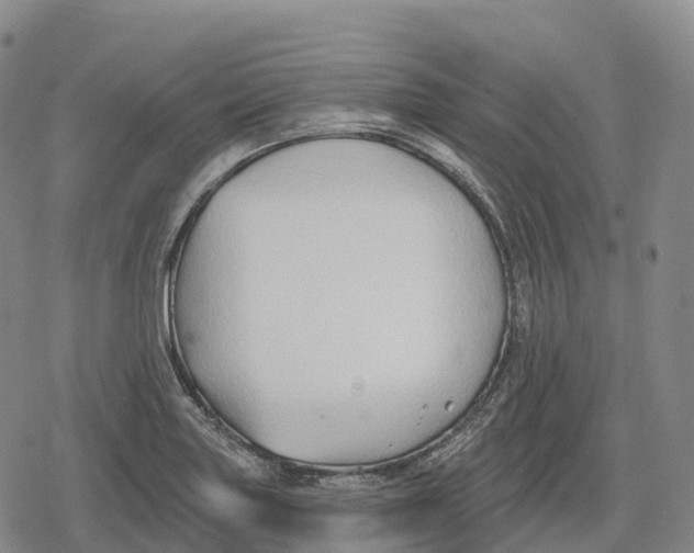 X0000079581227200612221422