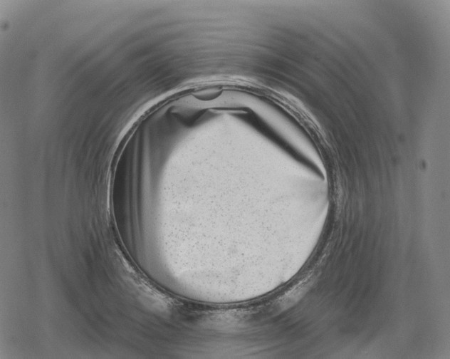 X0000079581228200612221422