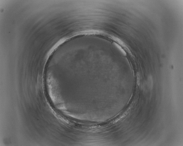 X0000079581229200612221422