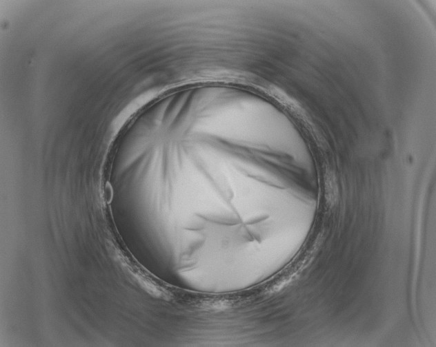 X0000079581230200612221422