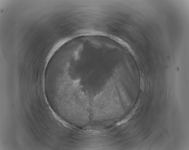 X0000079581231200612221422