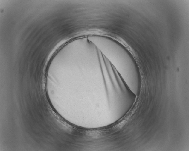 X0000079581232200612221422