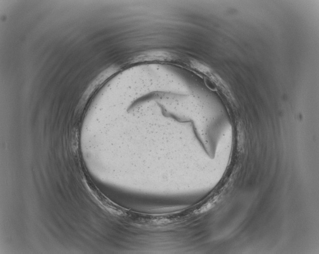 X0000079581233200612221422