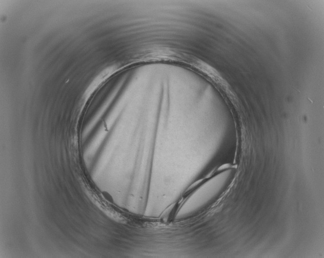 X0000079581234200612221422