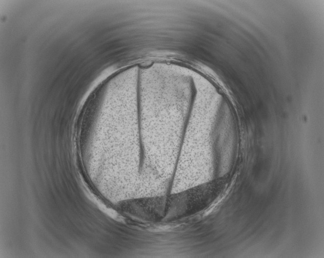 X0000079581235200612221422