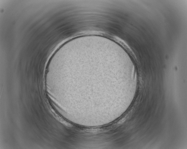 X0000079581236200612221422