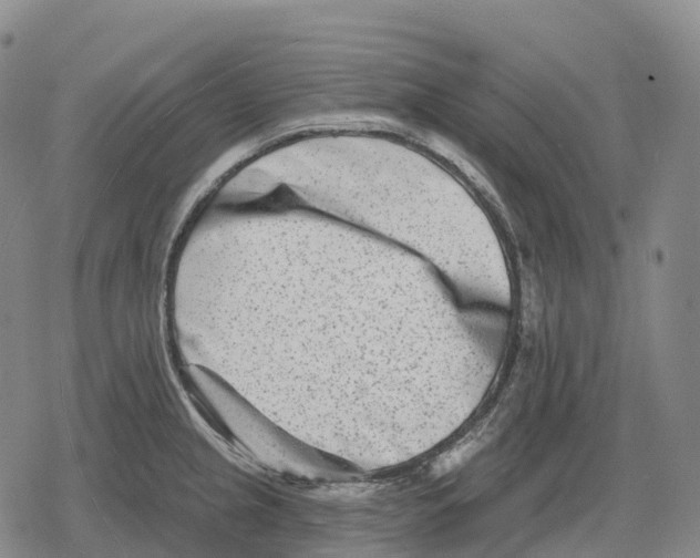 X0000079581237200612221422