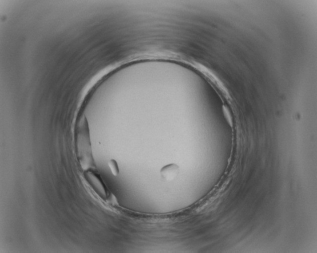 X0000079581238200612221422