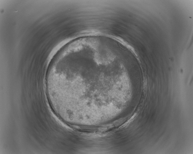 X0000079581239200612221422