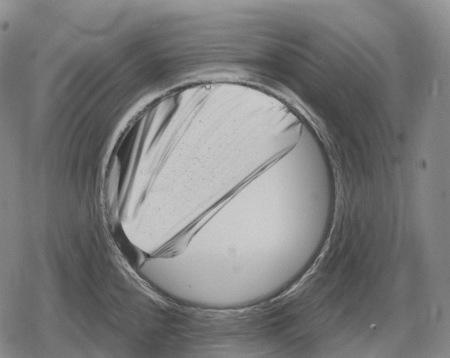 X0000079581240200612221422