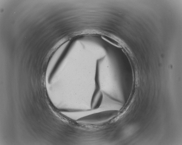 X0000079581241200612221422