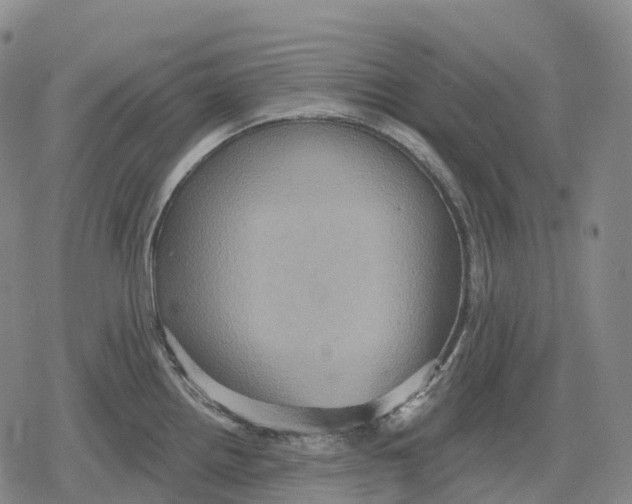 X0000079581242200612221422