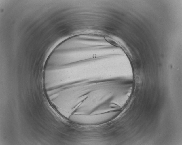 X0000079581244200612221422