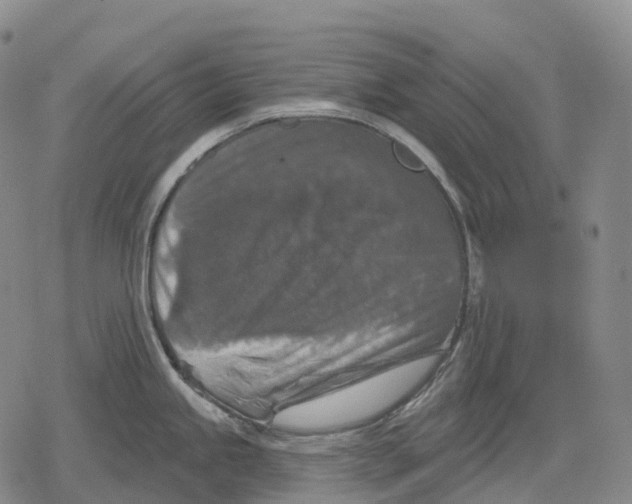 X0000079581245200612221422