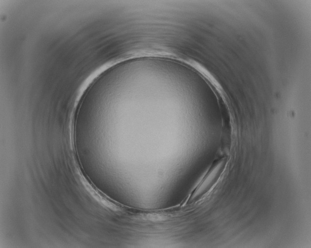 X0000079581246200612221423