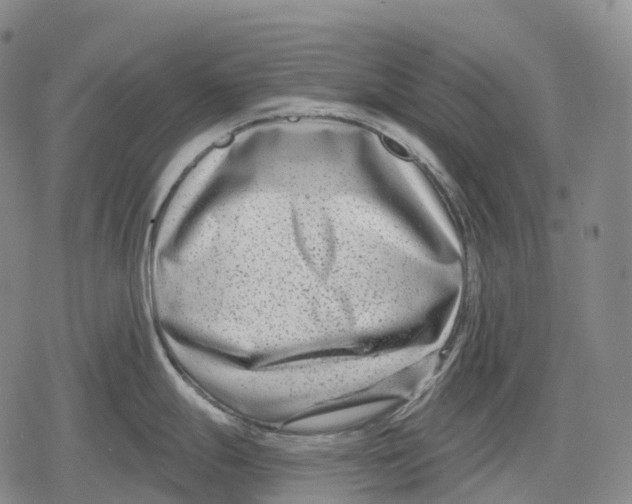 X0000079581247200612221423