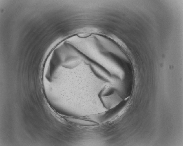 X0000079581248200612221423