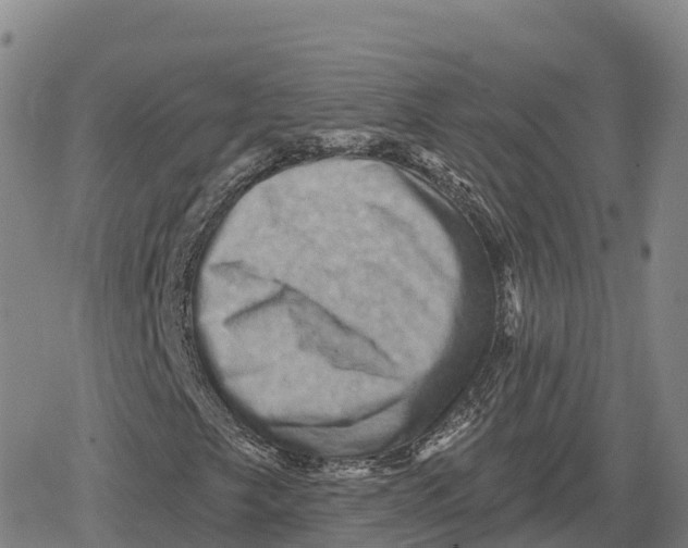 X0000079581249200612221422