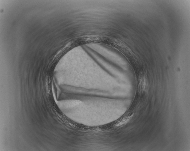 X0000079581250200612221422