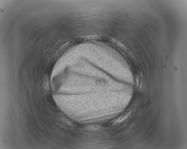 X0000079581251200612221422