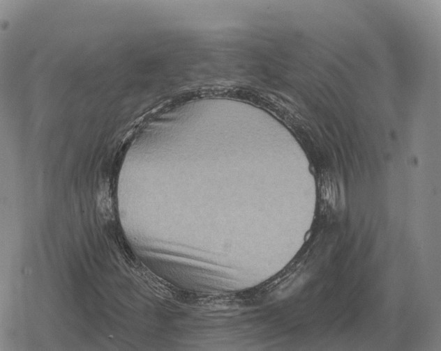 X0000079581252200612221422