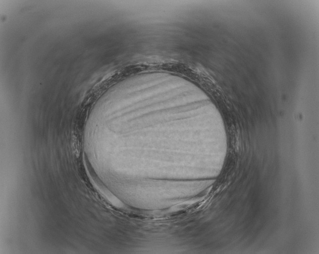 X0000079581253200612221422