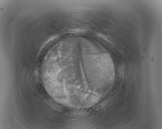 X0000079581254200612221422