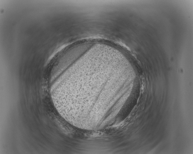 X0000079581255200612221422