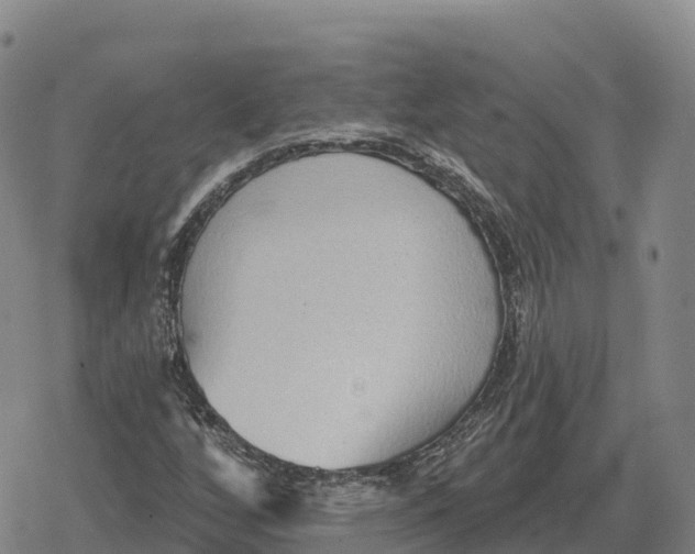 X0000079581256200612221422