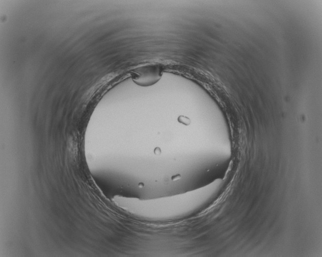 X0000079581257200612221422