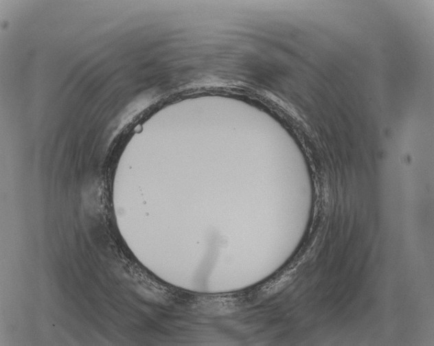 X0000079581258200612221422