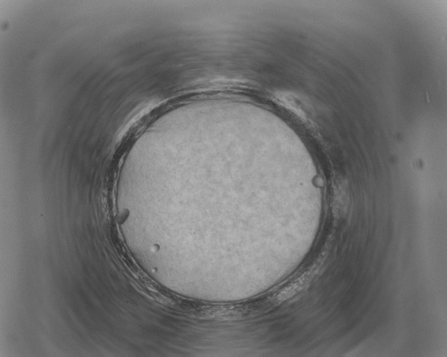 X0000079581259200612221422