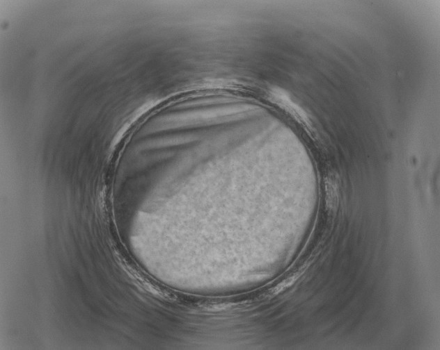 X0000079581260200612221422