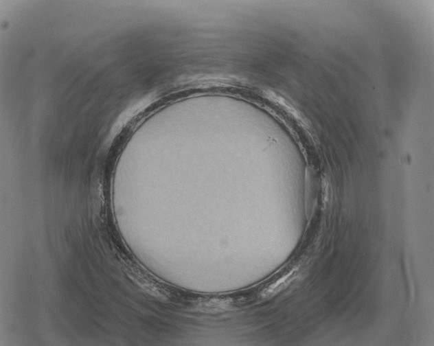 X0000079581261200612221422